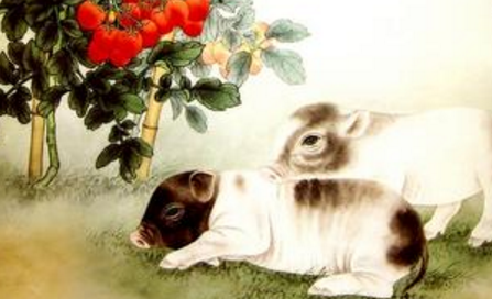男兔女鼠夫妻属相合吗_女兔男牛属婚姻与家庭_属兔女和属牛男