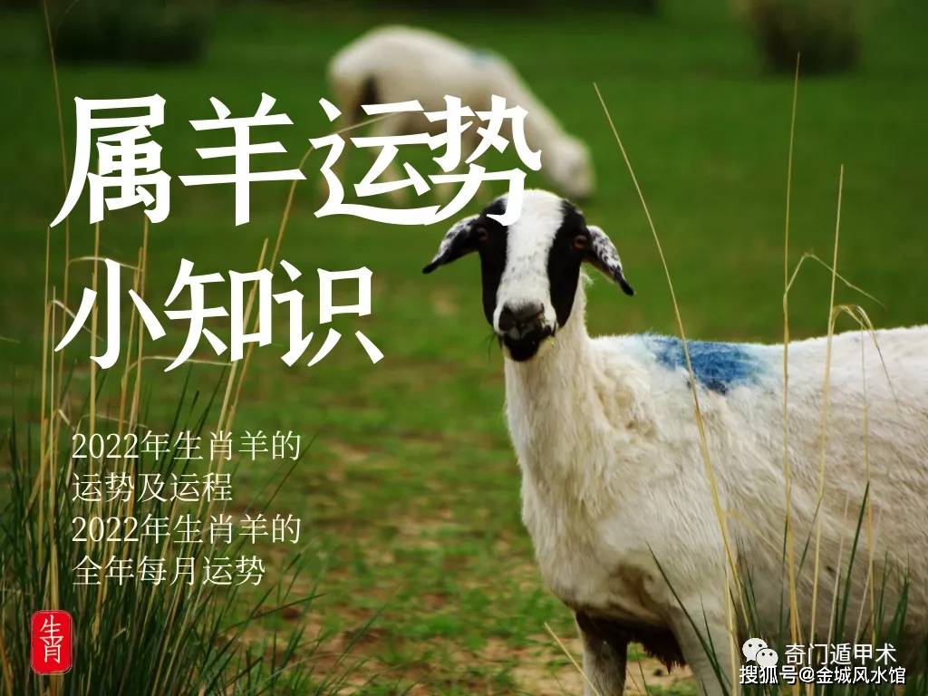 2016年属羊的人恋爱运程（-）