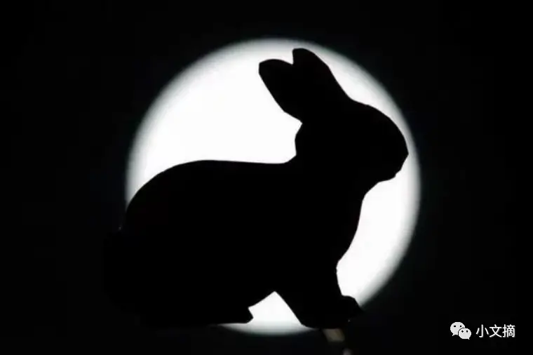 农历十二月的兔，属兔的人